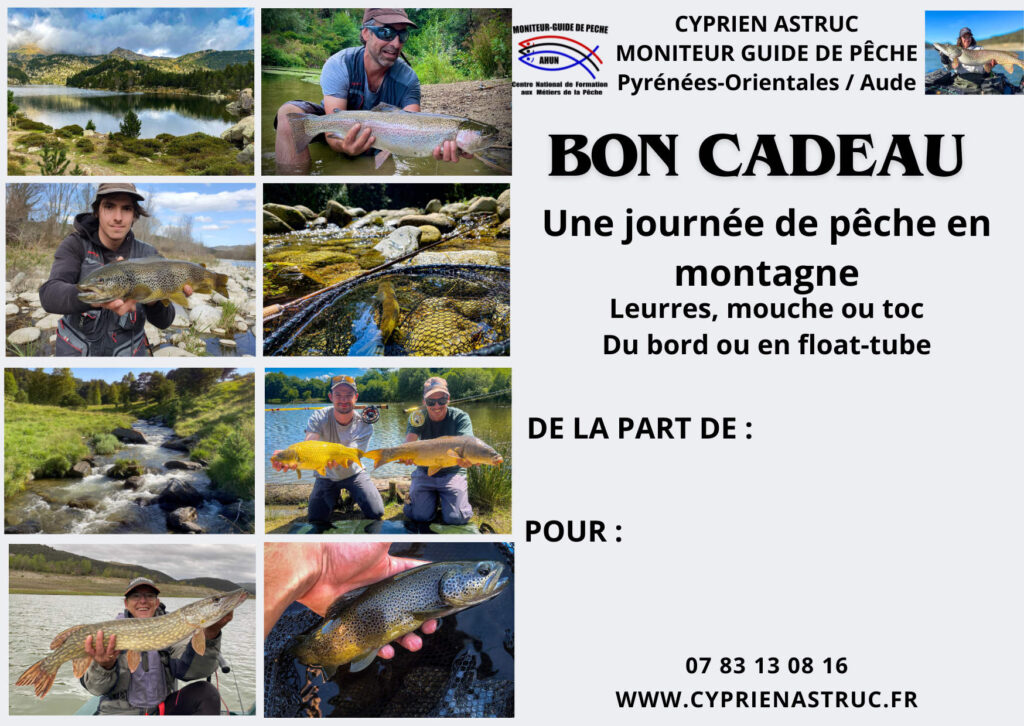 offrir un stage de pêche