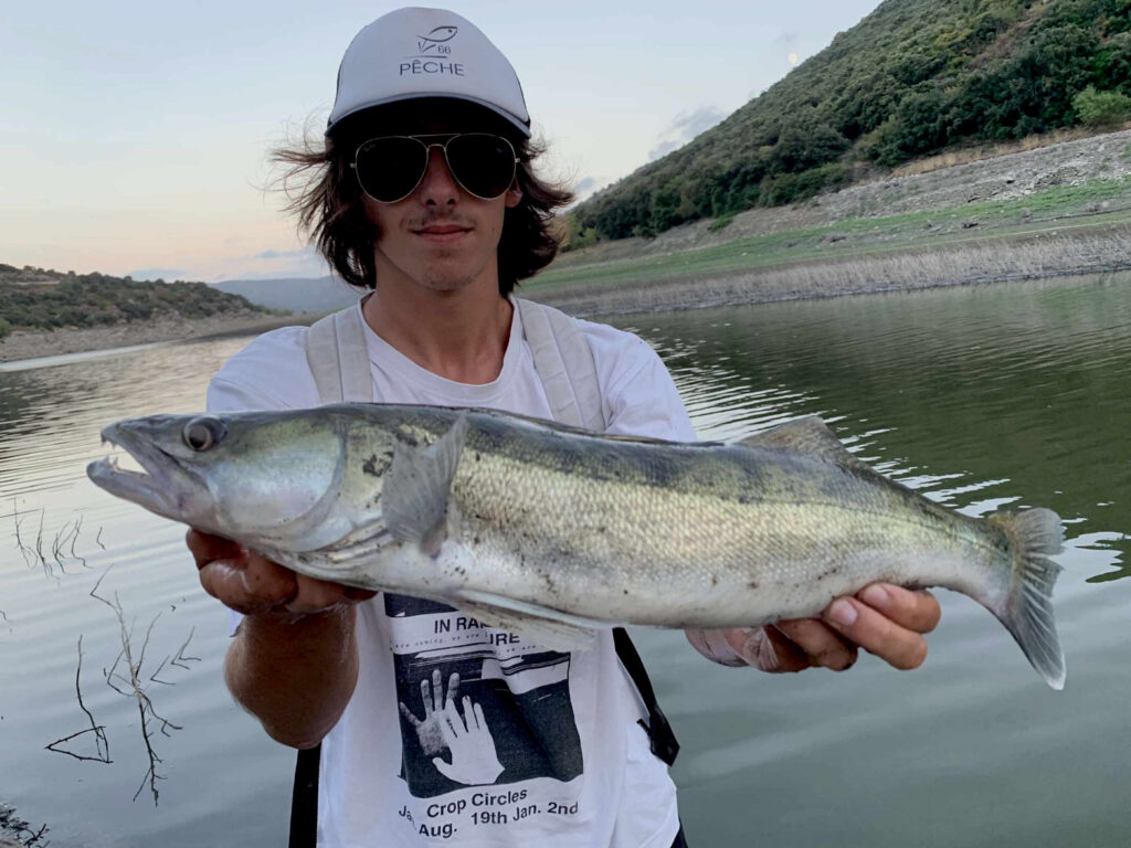 pêche du sandre du bord