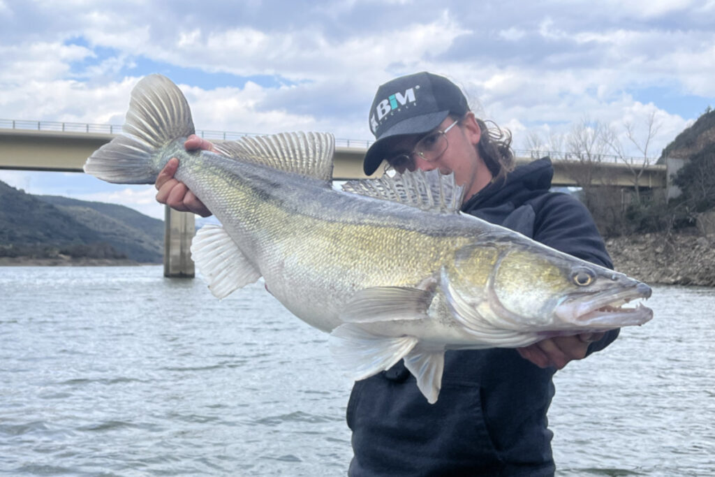 pêche du carnassier au leurre