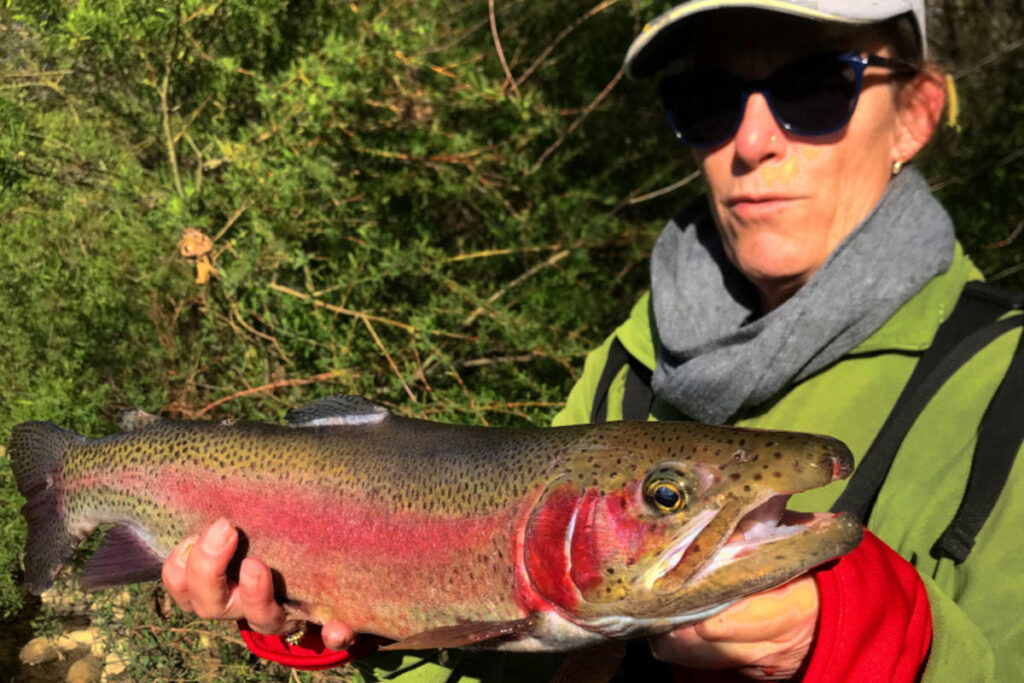 pêche de la truite aux leurres