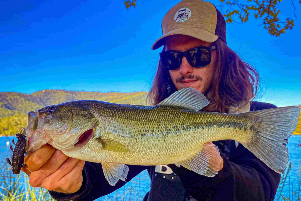 Guide de pêche black bass espagne