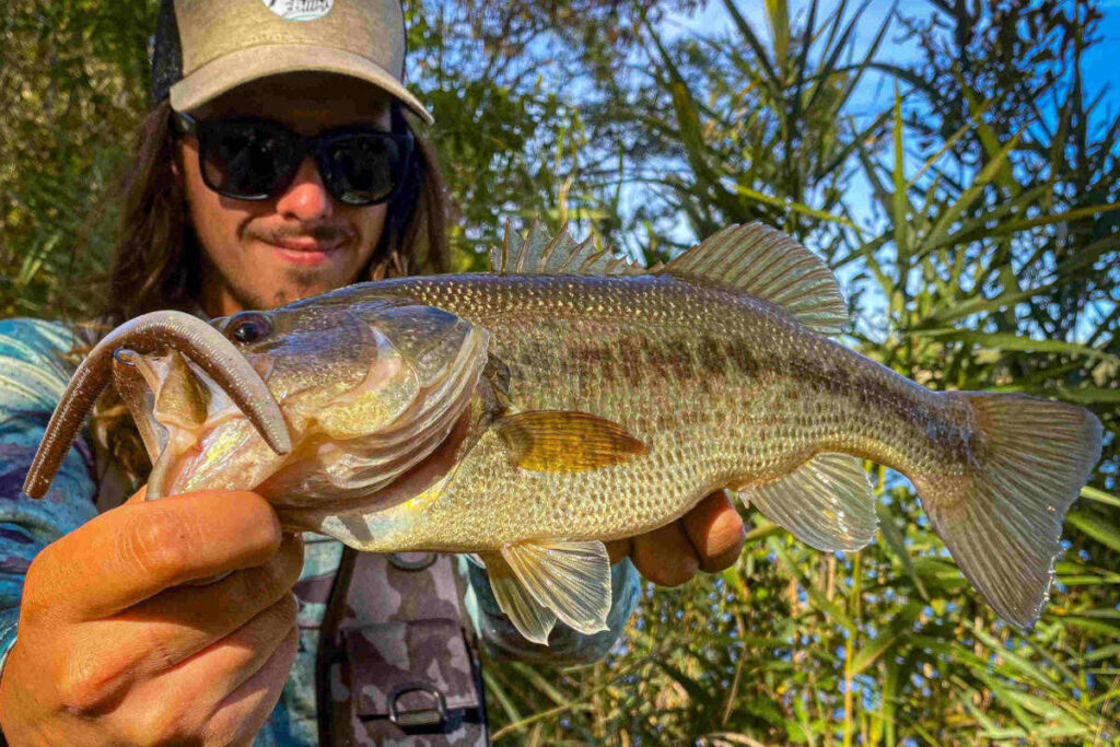 séjour pêche Espagne black Bass