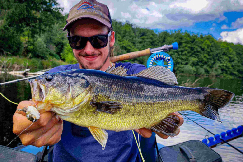 pêche du carnassier à la mouche