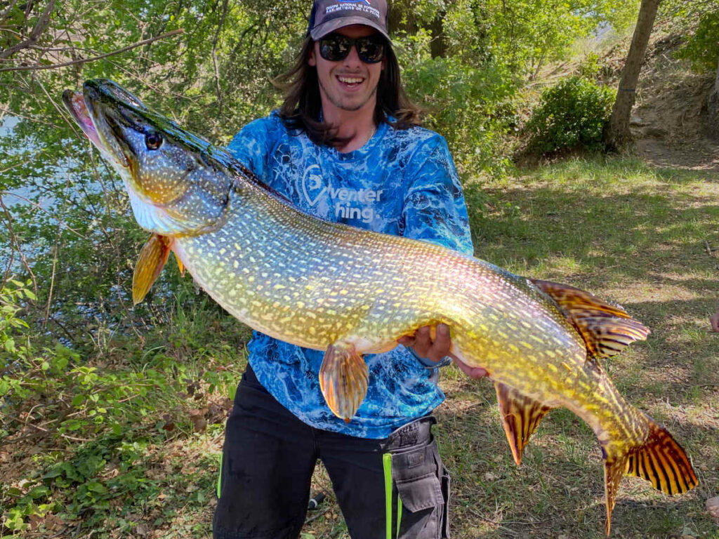 photo de pêche brochet