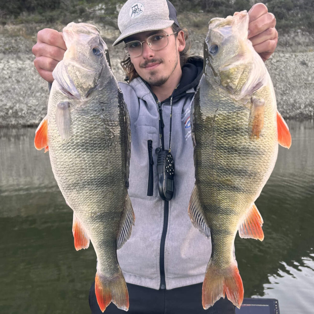 stage de pêche carnassier