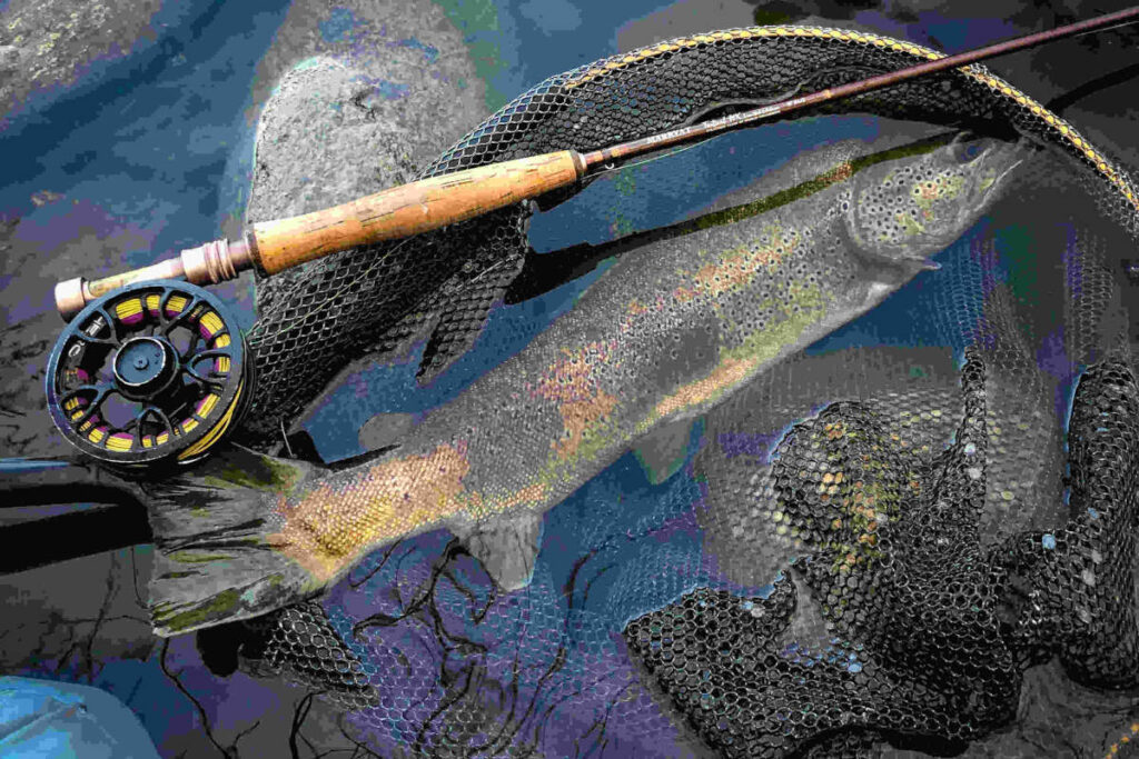 Stage de pêche à la mouche Pyrénées-Orientales