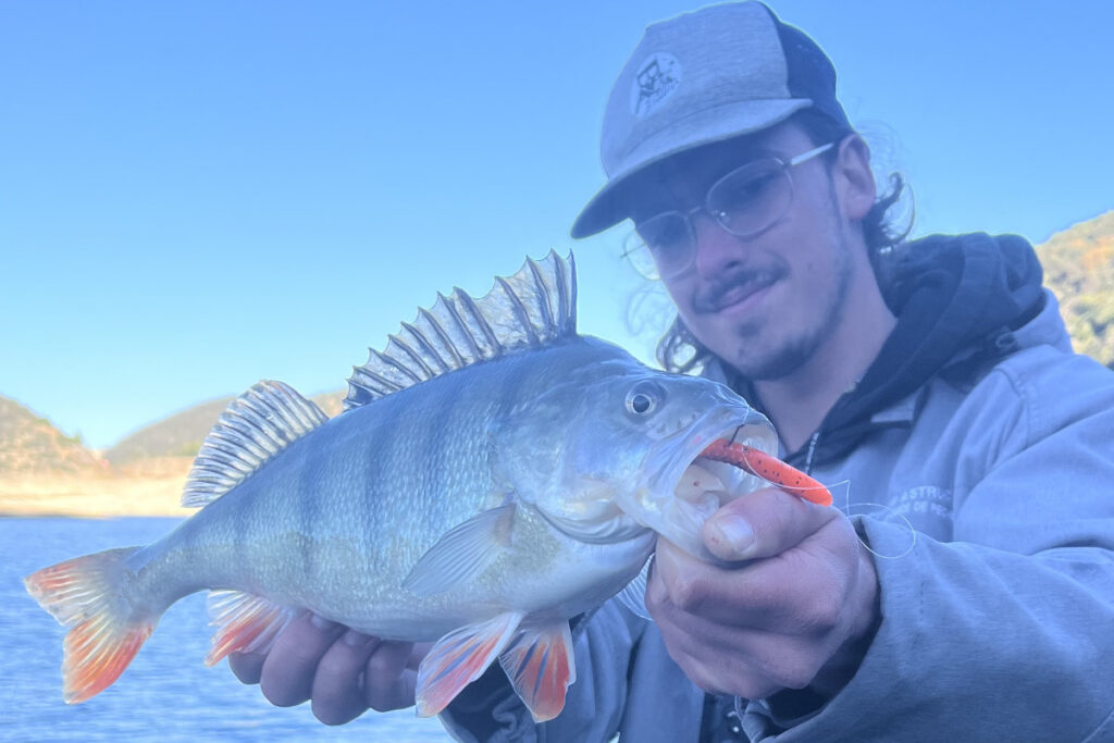 pêche grosse perche lac de caramany