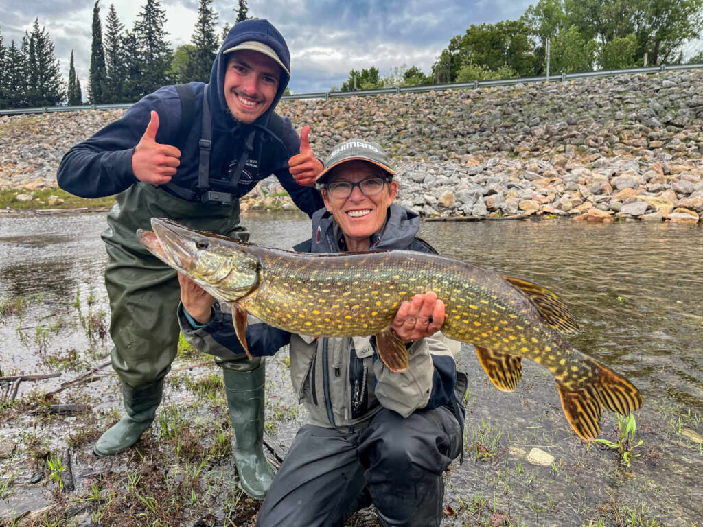 stage pêche brochet