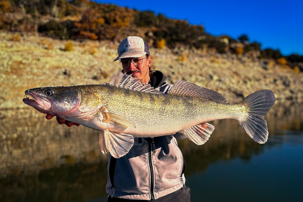 lac de caramany pêche sandre
