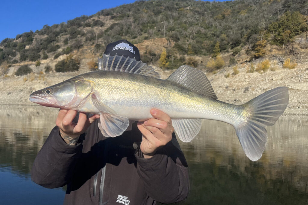 pêche barrage de l'agly