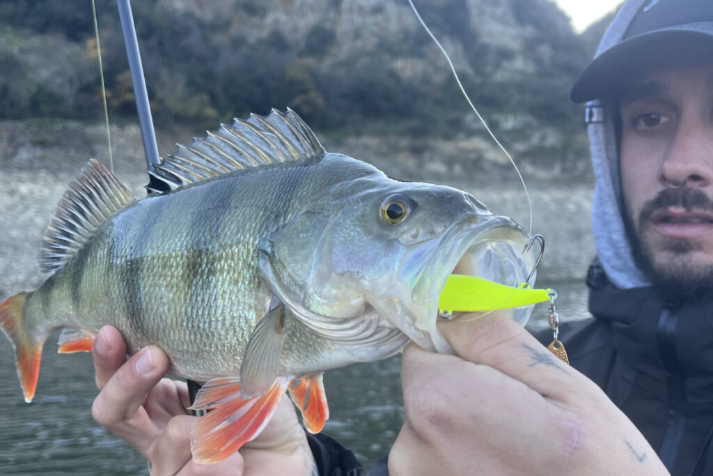 lac de caramany pêche perche