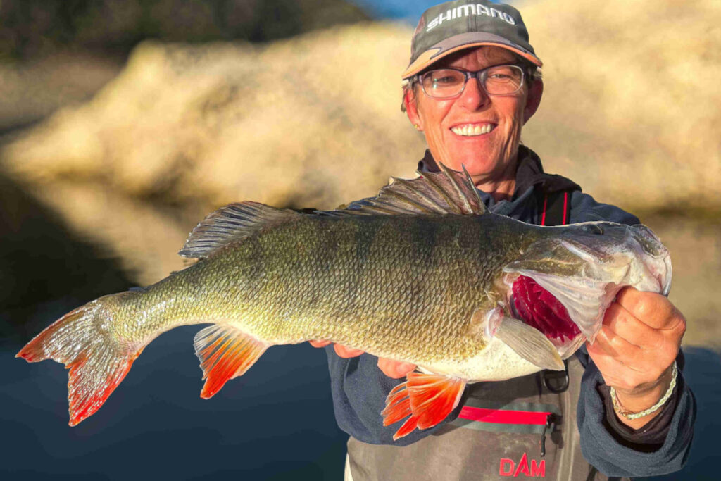 guide de pêche perche