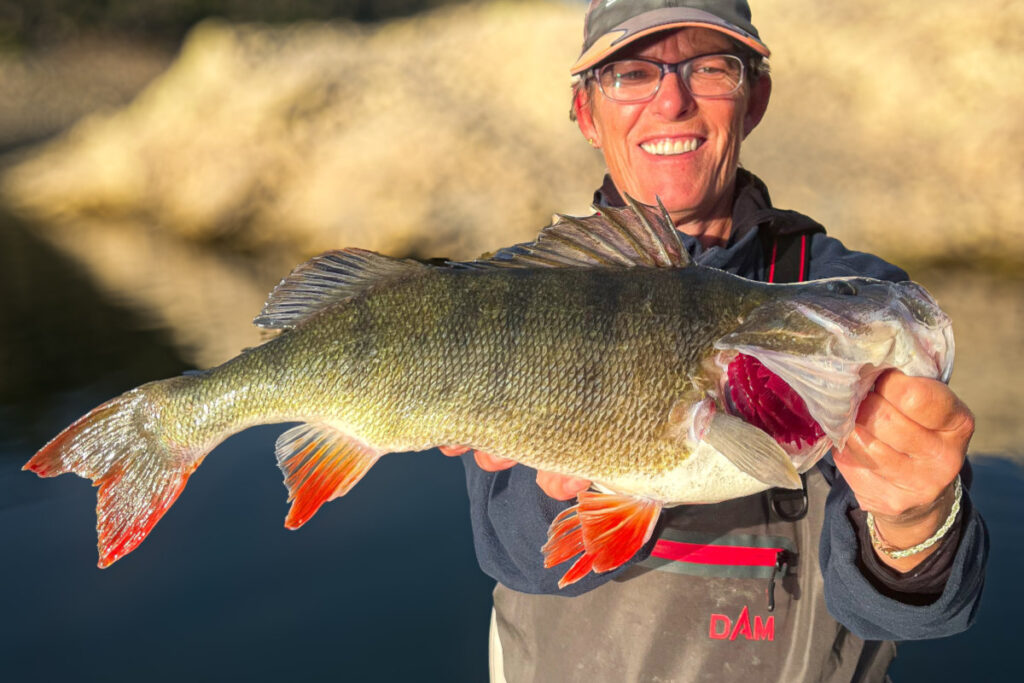 lac de Caramany pêche perche