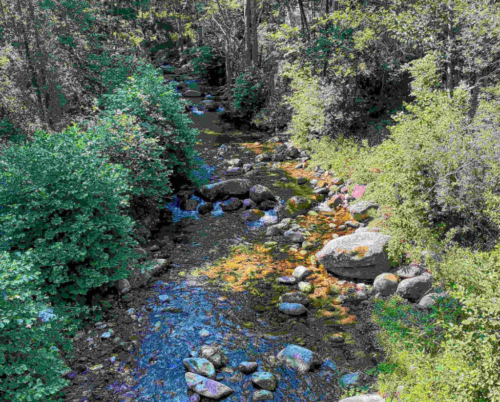 Pêche à la mouche Pyrénées Orientales