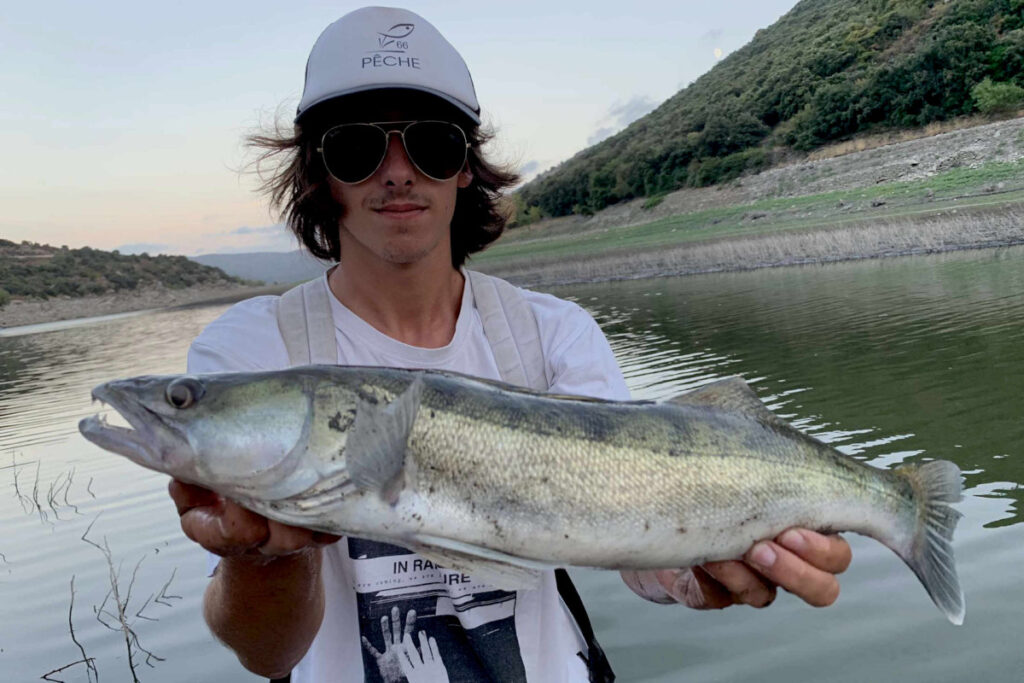 pêche du sandre du bord