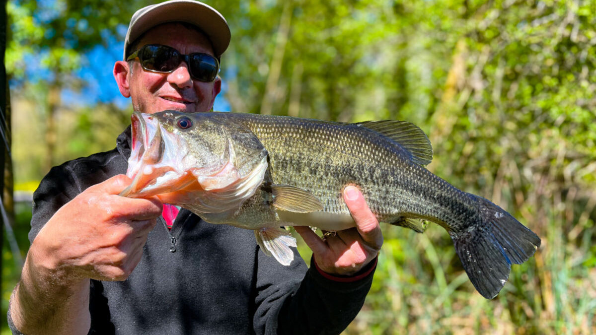 pêche black bass espagne