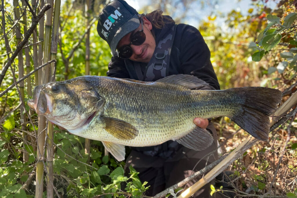 pêche black bass