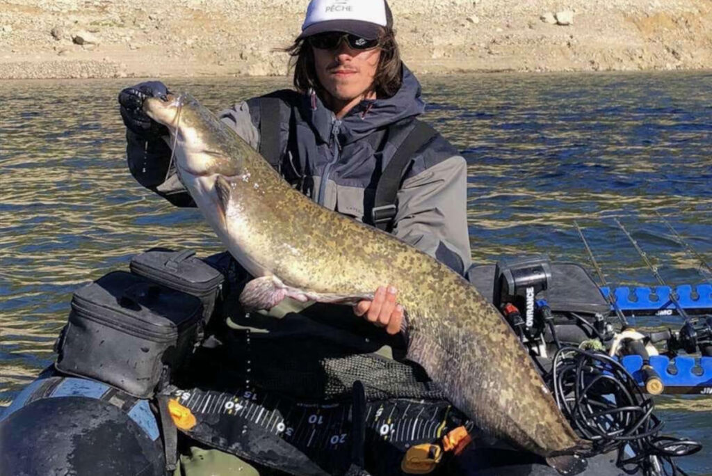 pêche silure float tube