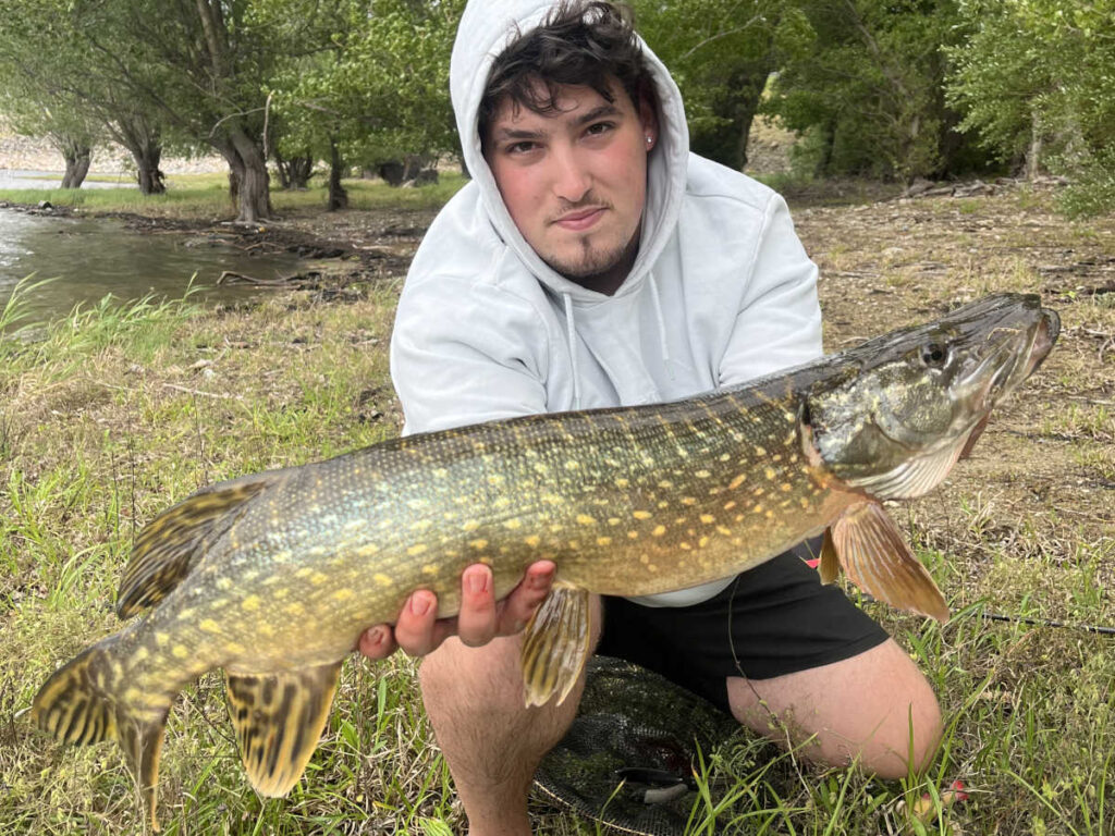 guide de pêche brochet