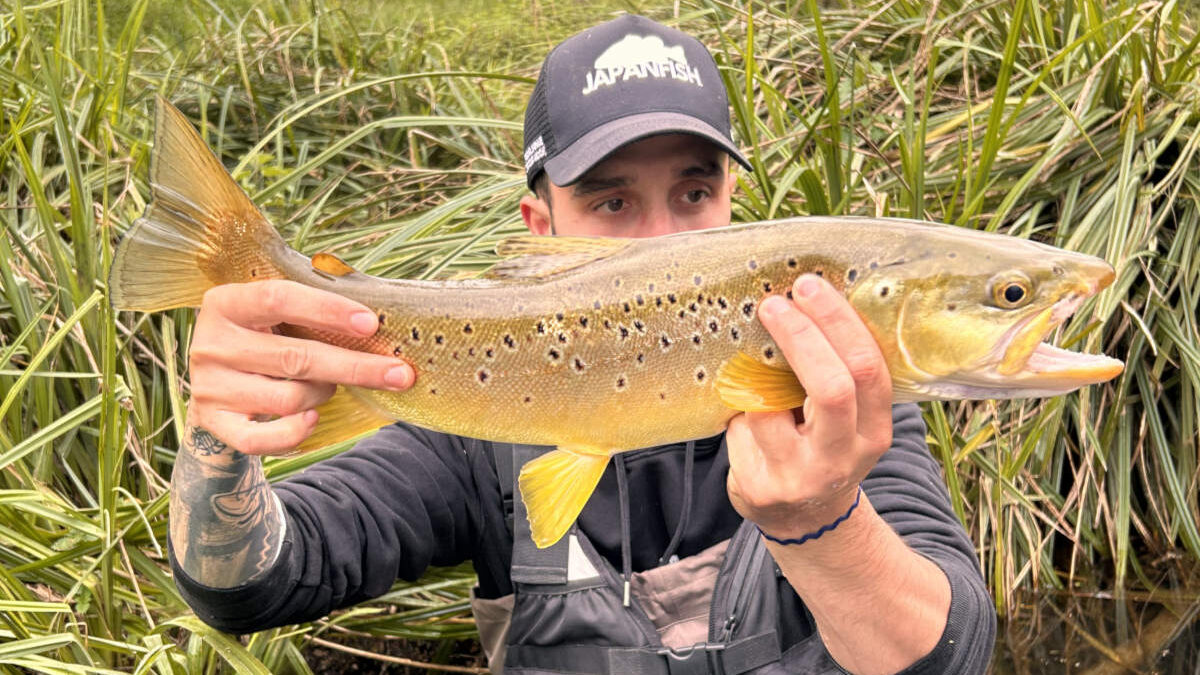 pêche truite espagne