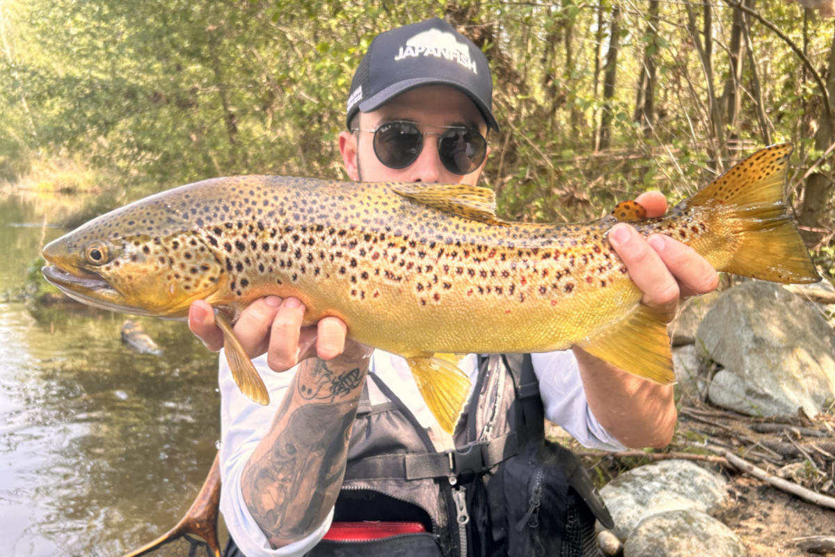 pêche truite au leurre