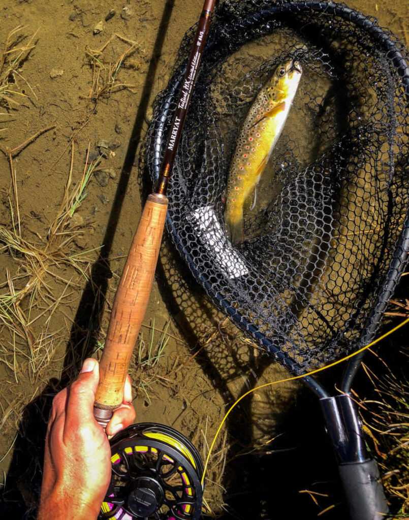 pêche de la truite à la mouche