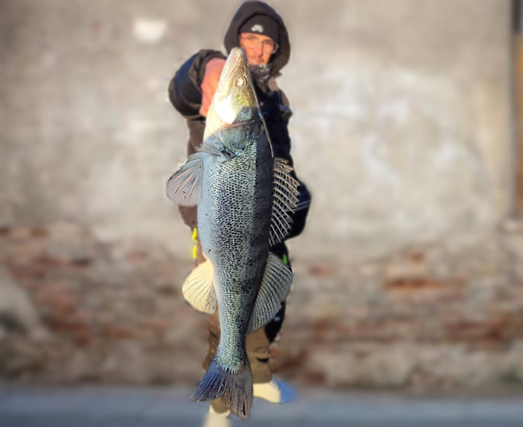 sandre street fishing